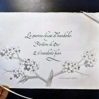 il mandorlo